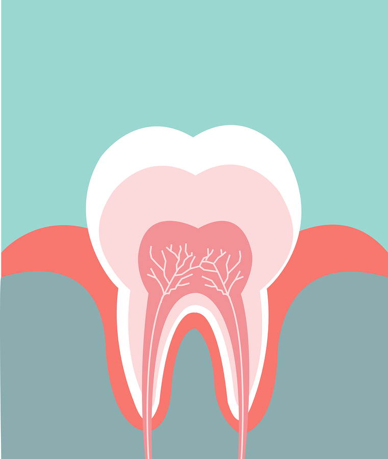 root canals in Zanesville, OH